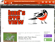 Tablet Screenshot of birdseyeviewbaltimore.com